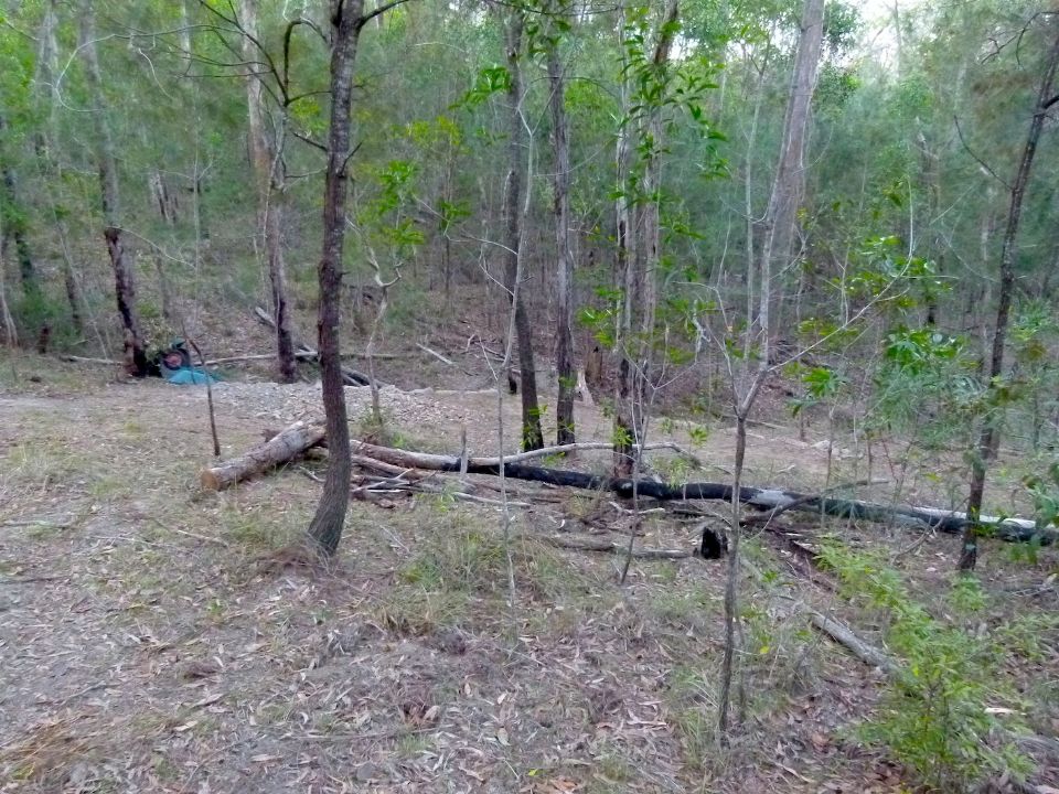 P1140926.jpg